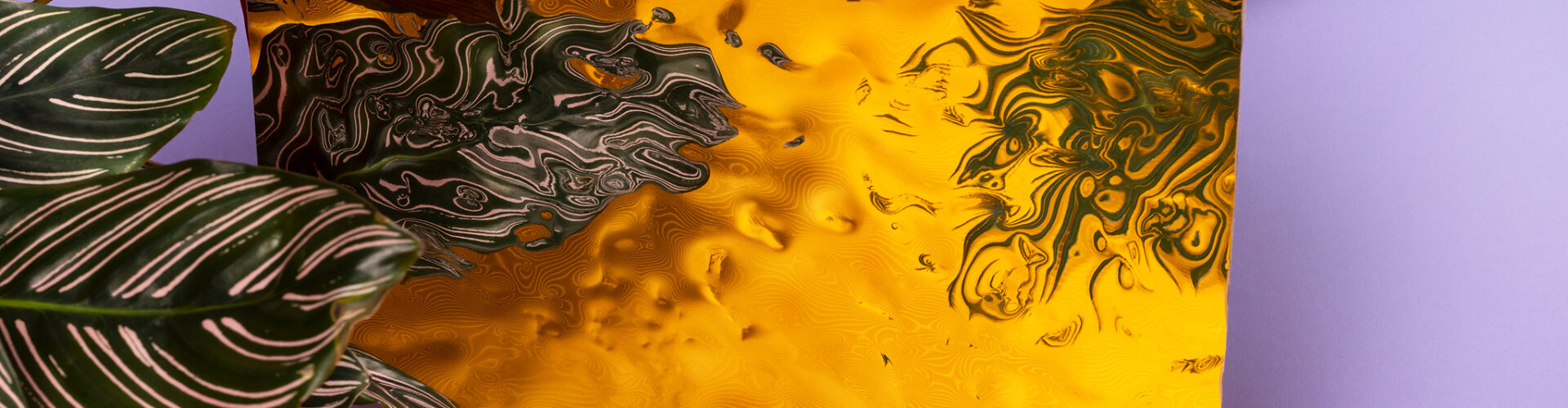 Campaign photo’s September Me festival by Hoax Amsterdam. Photography by Barbara Medo